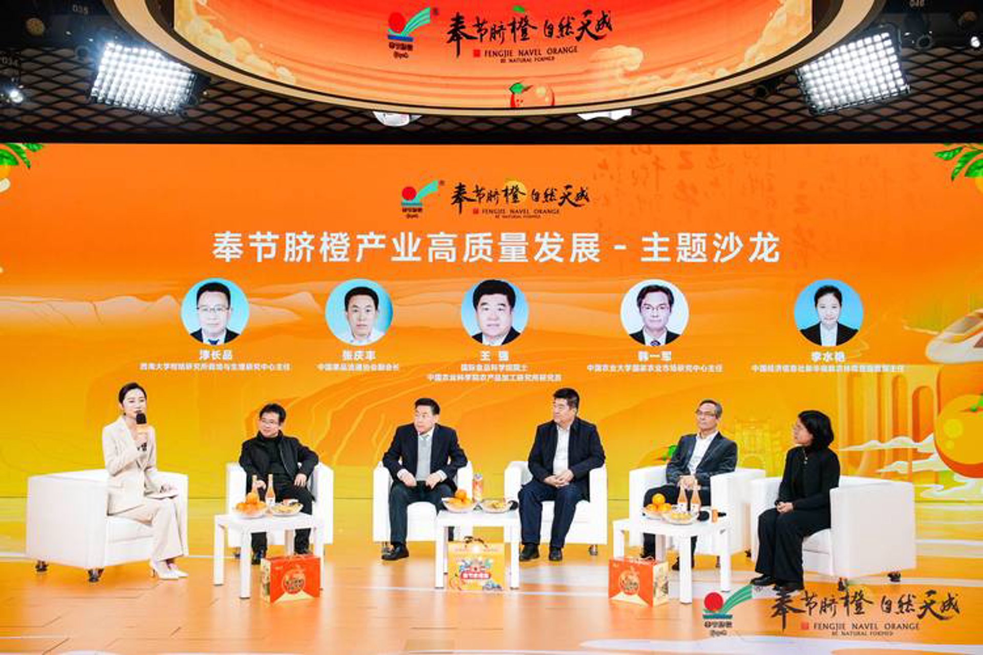 西部柑桔电商
